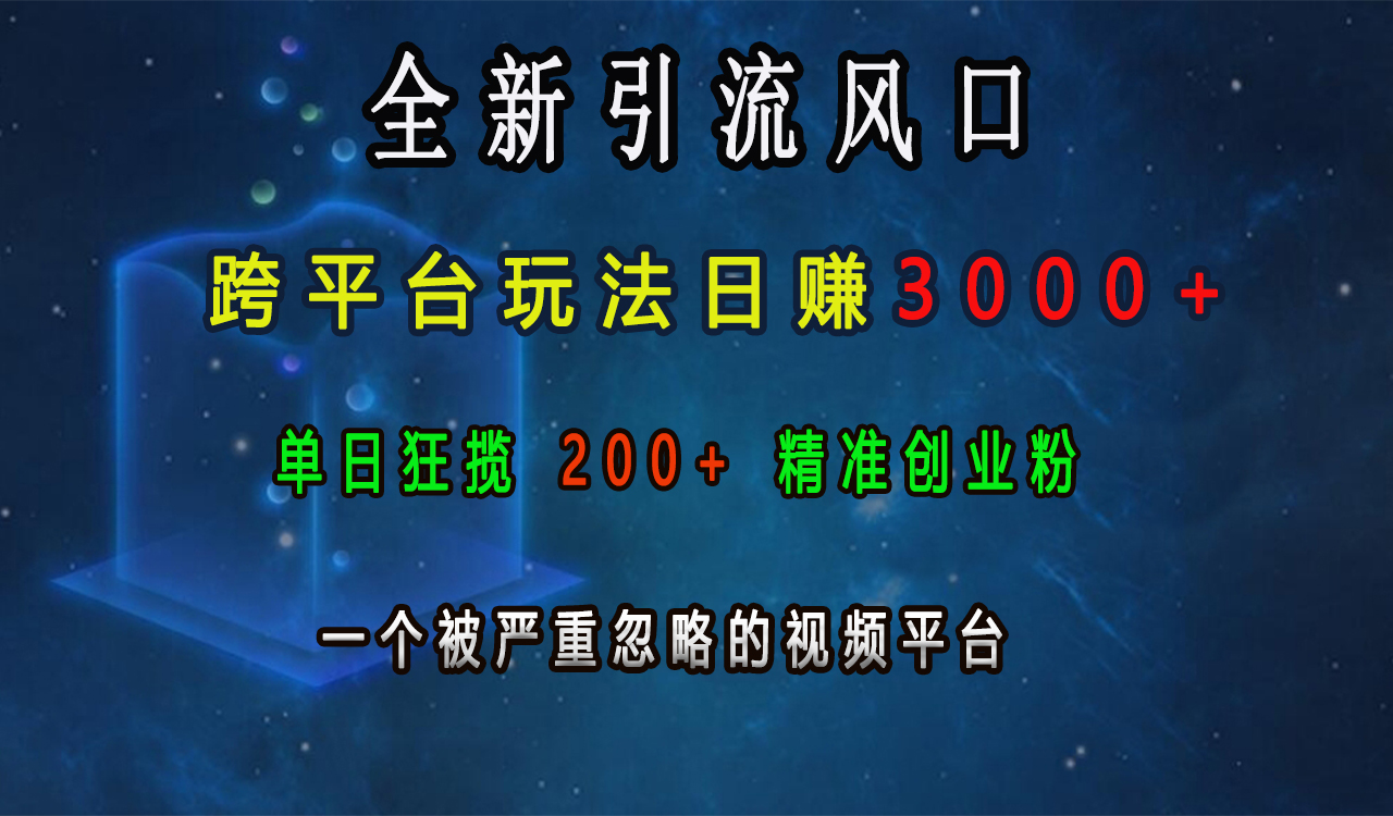 全新引流风口，跨平台玩法日赚3000+，单日狂揽200+精准创业粉，一个被严重忽略的视频平台时点搞钱-网创项目资源站-副业项目-创业项目-搞钱项目时点搞钱