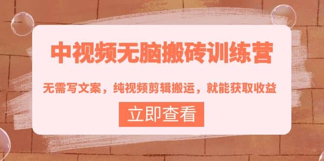 中视频无脑搬砖训练营：无需写文案，纯视频剪辑搬运，就能获取收益时点搞钱-网创项目资源站-副业项目-创业项目-搞钱项目时点搞钱