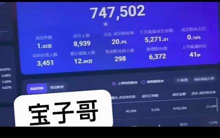 宝子哥无人直播，半无人直播，Obs+伴侣玩法，快速打标签+养鱼时点搞钱-网创项目资源站-副业项目-创业项目-搞钱项目时点搞钱