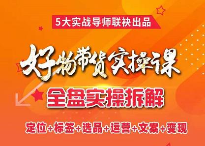 抖音好物带货实操课，全盘拆解抖音好物带货号全套流程打法时点搞钱-网创项目资源站-副业项目-创业项目-搞钱项目时点搞钱
