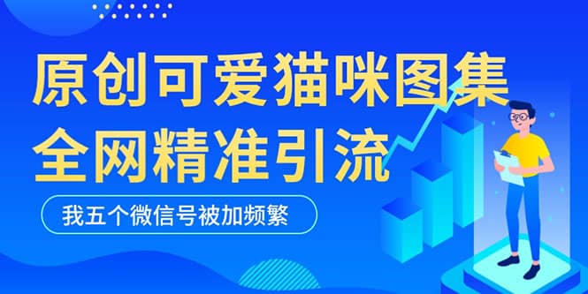 黑科技纯原创可爱猫咪图片，全网精准引流，实操5个VX号被加频繁时点搞钱-网创项目资源站-副业项目-创业项目-搞钱项目时点搞钱