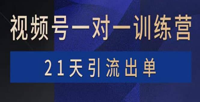 视频号训练营：带货，涨粉，直播，游戏，四大变现新方向，21天引流出单时点搞钱-网创项目资源站-副业项目-创业项目-搞钱项目时点搞钱