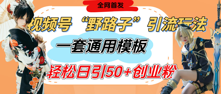 视频号“野路子”玩法,评论区疯狂截流,一套模板单日单号引流50+创业粉时点搞钱-网创项目资源站-副业项目-创业项目-搞钱项目时点搞钱