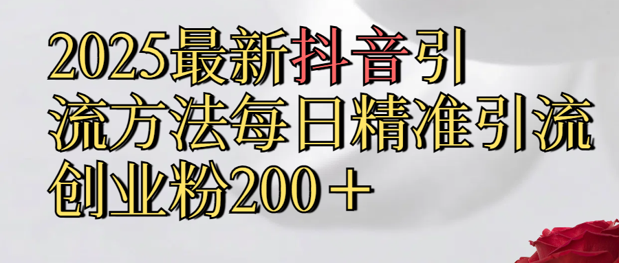 2025最新,抖音引流,方法每日精准引流创业粉300＋时点搞钱-网创项目资源站-副业项目-创业项目-搞钱项目时点搞钱