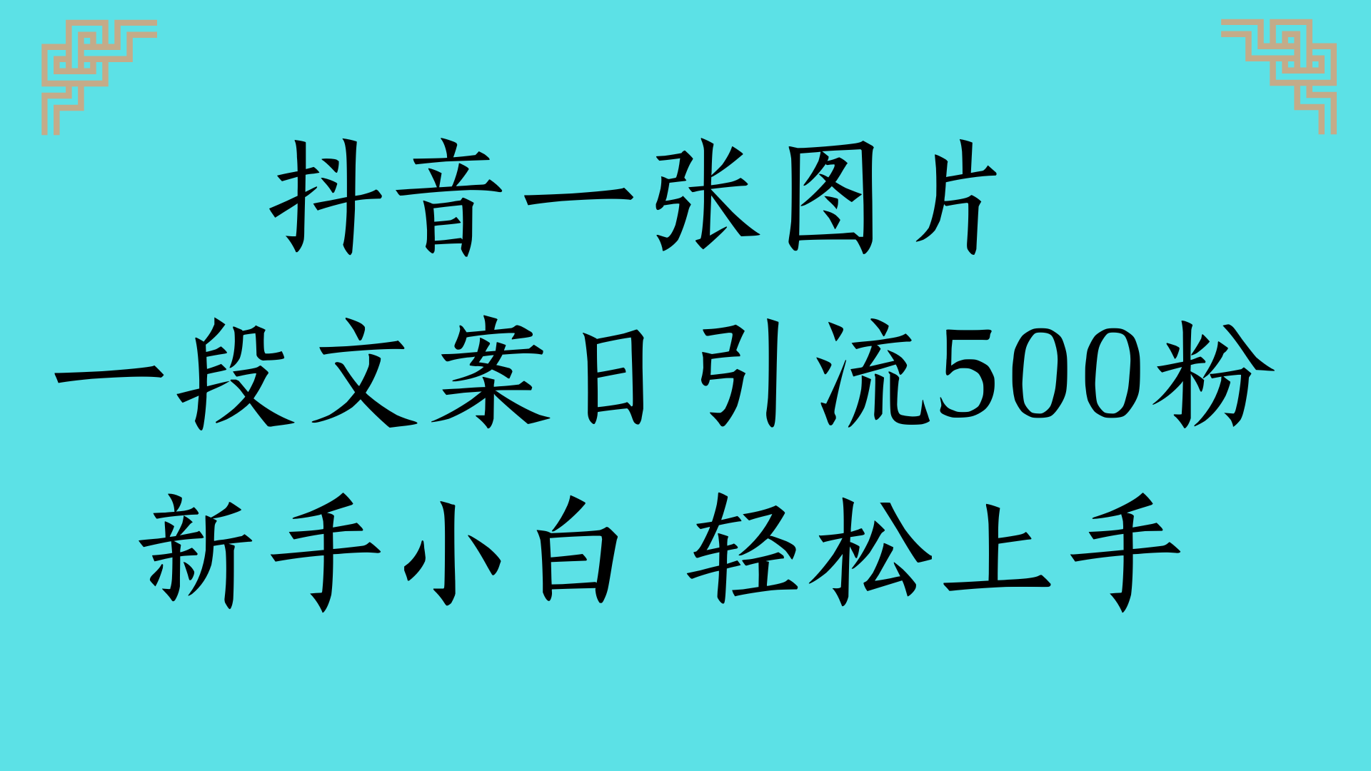 抖音一张图片 一段文案日引流500粉新手小白 轻松上手时点搞钱-网创项目资源站-副业项目-创业项目-搞钱项目时点搞钱