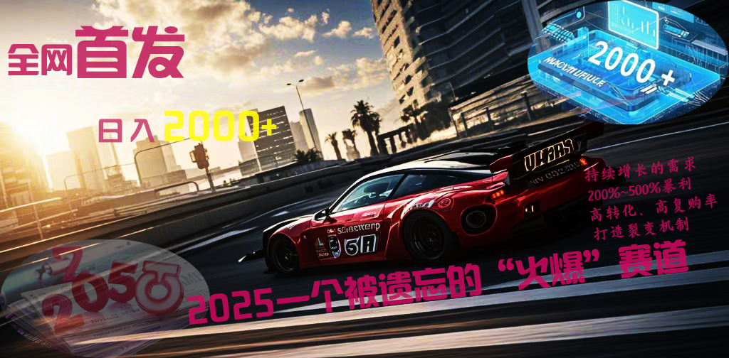 全网首发：2025一个被遗忘的“火爆”赛道轻松日入2000+时点搞钱-网创项目资源站-副业项目-创业项目-搞钱项目时点搞钱