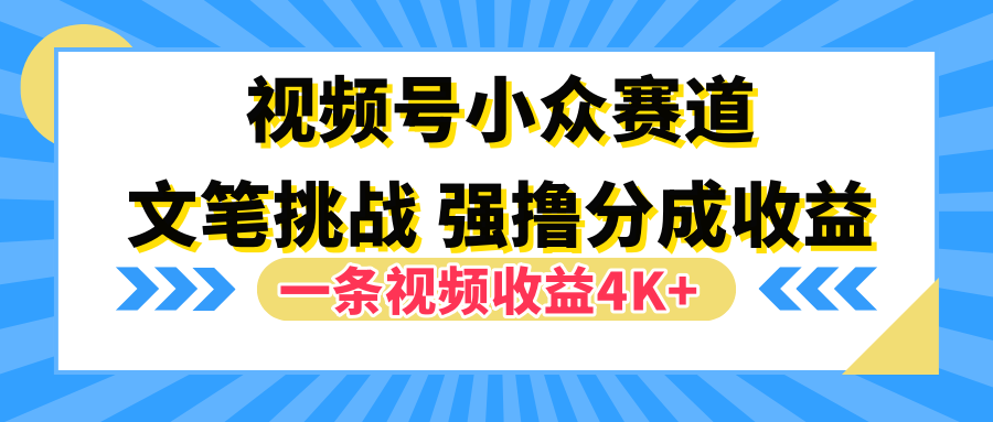 视频号小众赛道，文笔挑战，一条视频收益4K+时点搞钱-网创项目资源站-副业项目-创业项目-搞钱项目时点搞钱