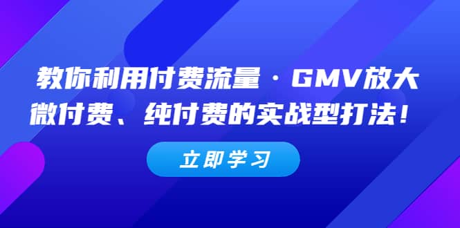 教你利用付费流量·GMV放大，微付费、纯付费的实战型打法时点搞钱-网创项目资源站-副业项目-创业项目-搞钱项目时点搞钱