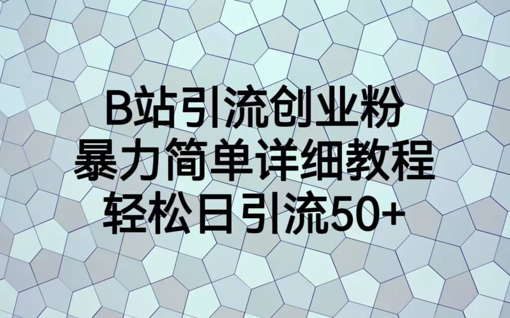 B站引流创业粉，暴力简单详细教程，轻松日引流50+时点搞钱-网创项目资源站-副业项目-创业项目-搞钱项目时点搞钱