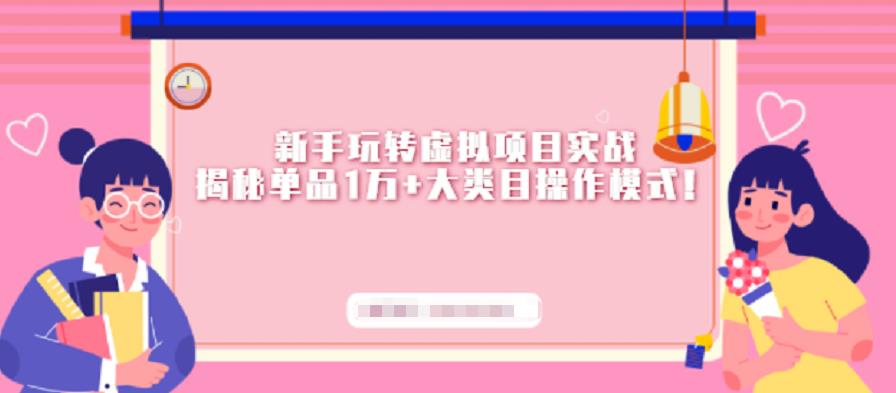新手玩转虚拟项目实战，揭秘单品1万+大类目操作模式【视频课程】时点搞钱-网创项目资源站-副业项目-创业项目-搞钱项目时点搞钱