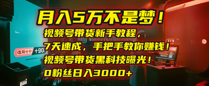 月入5万不是梦!视频号带货新手教程,7天速成,手把手教你赚钱!视频号带货黑科技曝光!0粉丝日入3000+时点搞钱-网创项目资源站-副业项目-创业项目-搞钱项目时点搞钱