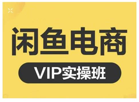 闲鱼电商零基础入门到进阶VIP实战课程，帮助你掌握闲鱼电商所需的各项技能时点搞钱-网创项目资源站-副业项目-创业项目-搞钱项目时点搞钱