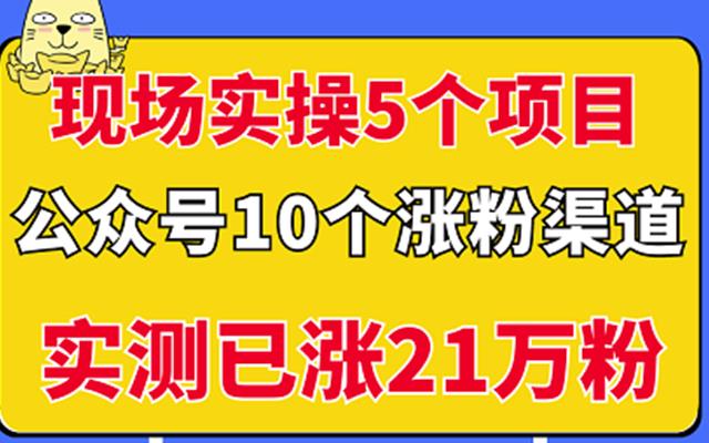 现场实操5个公众号项目，10个涨粉渠道，实测已涨21万粉！时点搞钱-网创项目资源站-副业项目-创业项目-搞钱项目时点搞钱