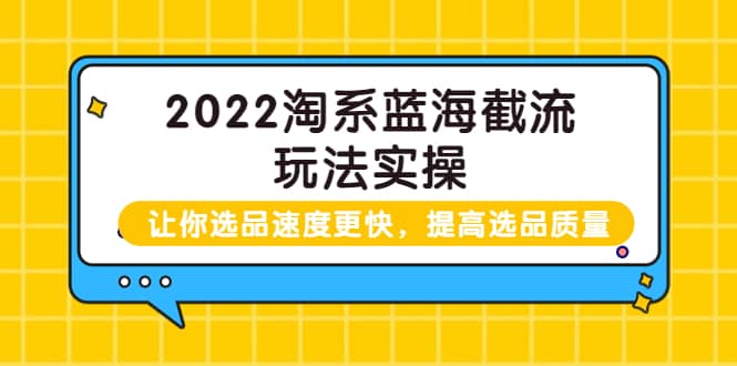2022淘系蓝海截流玩法实操：让你选品速度更快，提高选品质量（价值599）时点搞钱-网创项目资源站-副业项目-创业项目-搞钱项目时点搞钱
