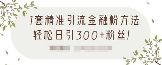 1套精准引流金融粉方法，轻松日引300+粉丝【视频课程】时点搞钱-网创项目资源站-副业项目-创业项目-搞钱项目时点搞钱