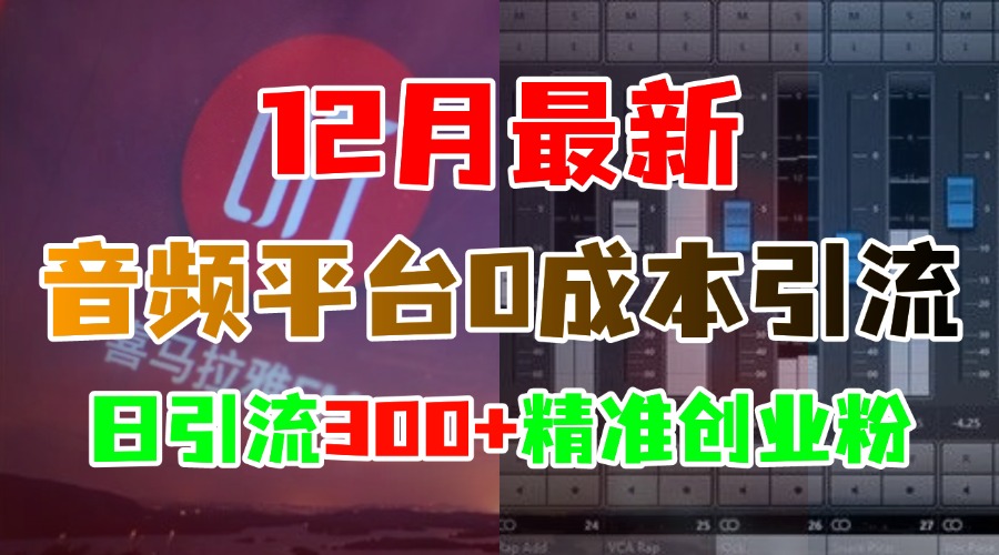12月最新：音频平台0成本引流，日引300+精准创业粉时点搞钱-网创项目资源站-副业项目-创业项目-搞钱项目时点搞钱