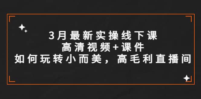 3月最新实操线下课高清视频+课件，如何玩转小而美，高毛利直播间时点搞钱-网创项目资源站-副业项目-创业项目-搞钱项目时点搞钱