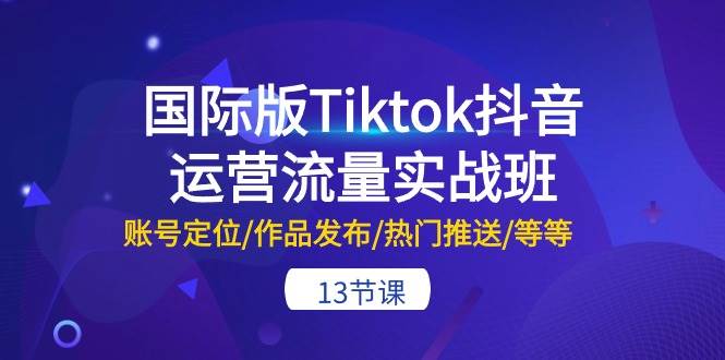 国际版Tiktok抖音运营流量实战班：账号定位/作品发布/热门推送/等等-13节时点搞钱-网创项目资源站-副业项目-创业项目-搞钱项目时点搞钱