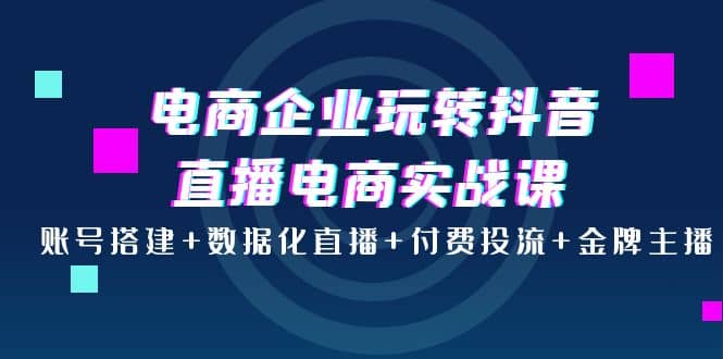 电商企业玩转抖音直播电商实战课：账号搭建+数据化直播+付费投流+金牌主播时点搞钱-网创项目资源站-副业项目-创业项目-搞钱项目时点搞钱