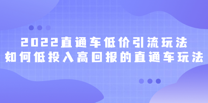 2022直通车低价引流玩法，教大家如何低投入高回报的直通车玩法时点搞钱-网创项目资源站-副业项目-创业项目-搞钱项目时点搞钱