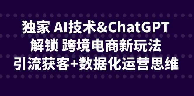 独家 AI技术ChatGPT解锁 跨境电商新玩法，引流获客+数据化运营思维时点搞钱-网创项目资源站-副业项目-创业项目-搞钱项目时点搞钱