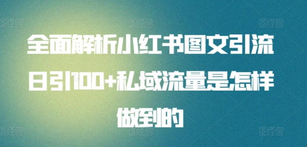 暴力引流 小红书图文引流日引100私域全面拆解【打粉人必看】时点搞钱-网创项目资源站-副业项目-创业项目-搞钱项目时点搞钱