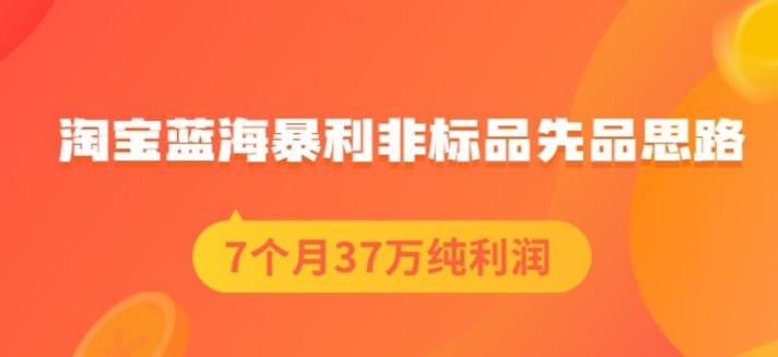 盗坤淘宝蓝海暴利非标品先品思路，7个月37万纯利润，压箱干货分享！【付费文章】时点搞钱-网创项目资源站-副业项目-创业项目-搞钱项目时点搞钱