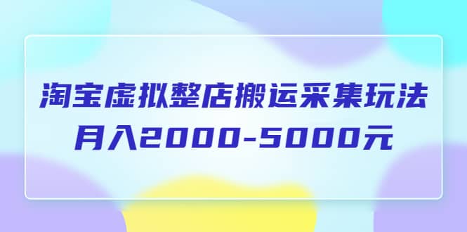 淘宝虚拟整店搬运采集玩法分享课：月入2000-5000元（5节课）时点搞钱-网创项目资源站-副业项目-创业项目-搞钱项目时点搞钱