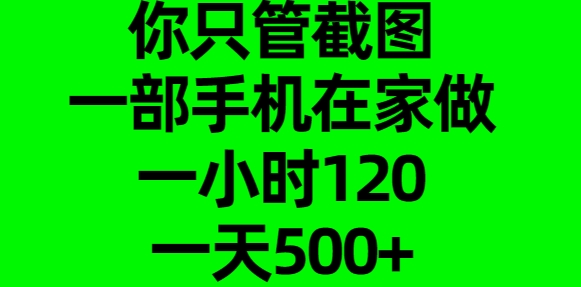 你只管截图，一部手机在家做，一小时120，一天500+时点搞钱-网创项目资源站-副业项目-创业项目-搞钱项目时点搞钱