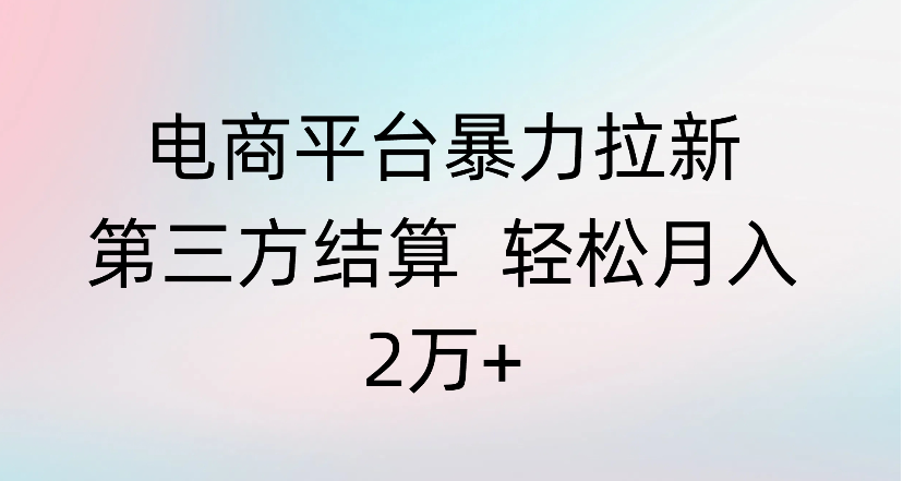 电商平台暴力拉新第三方结算 轻松月入2万+时点搞钱-网创项目资源站-副业项目-创业项目-搞钱项目时点搞钱