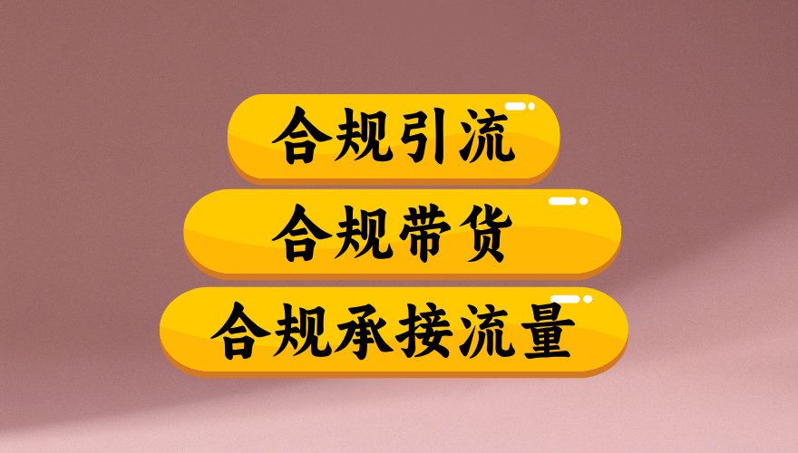 合规引流、合规并且高效地做带货、合规承接流量（揭秘）时点搞钱-网创项目资源站-副业项目-创业项目-搞钱项目时点搞钱
