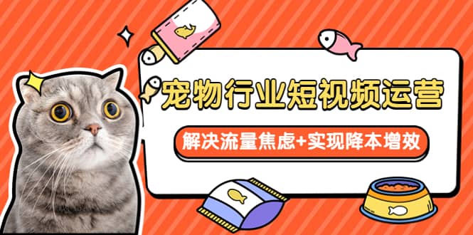 宠物/行业短视频运营 流量增长的一层窗户纸 解决流量焦虑+实现降本增效时点搞钱-网创项目资源站-副业项目-创业项目-搞钱项目时点搞钱