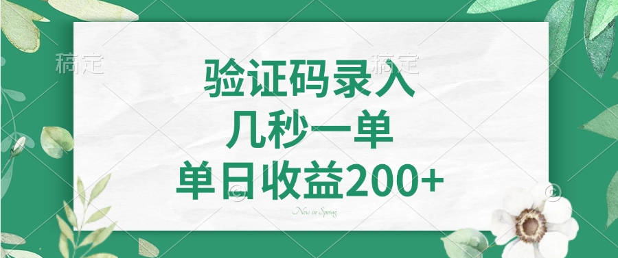 验证码录入，几秒一单，单日收益200+时点搞钱-网创项目资源站-副业项目-创业项目-搞钱项目时点搞钱