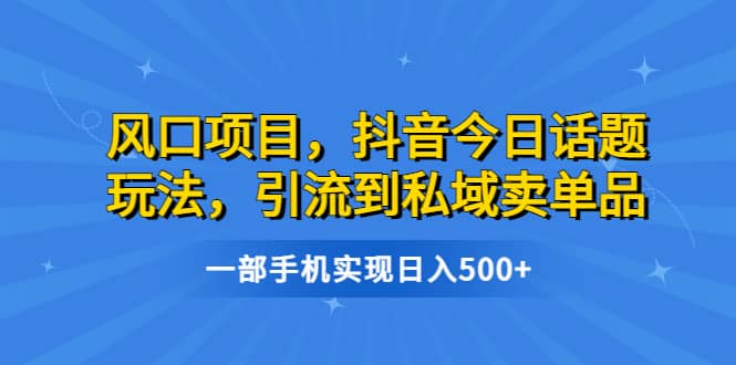 风口项目，抖音今日话题玩法，引流到私域卖单品，一部手机实现日入500+时点搞钱-网创项目资源站-副业项目-创业项目-搞钱项目时点搞钱