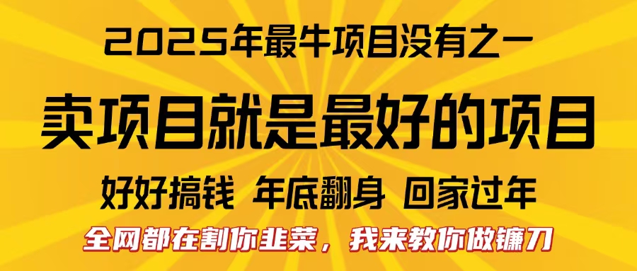 全网都在割你韭菜，我来教你做镰刀。卖项目就是最好的项目，2025年最牛互联网项目时点搞钱-网创项目资源站-副业项目-创业项目-搞钱项目时点搞钱