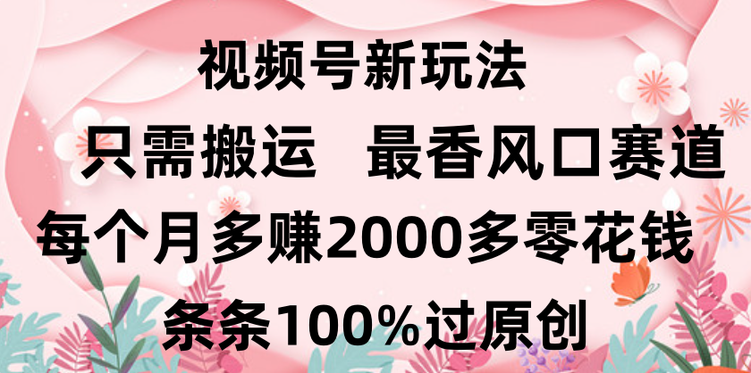 日入2000+，条条100%过原创，视频号最香风口赛道，小白轻松上手时点搞钱-网创项目资源站-副业项目-创业项目-搞钱项目时点搞钱