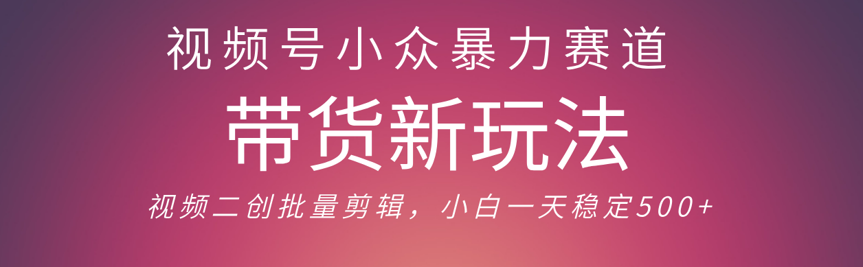 视频号小众暴力赛道，最新带货玩法 小白也能轻松日入500+ 保姆及教程时点搞钱-网创项目资源站-副业项目-创业项目-搞钱项目时点搞钱