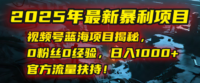 2025年最新暴利项目：视频号蓝海项目揭秘，0粉丝0经验，日入1000+，官方流量扶持！时点搞钱-网创项目资源站-副业项目-创业项目-搞钱项目时点搞钱