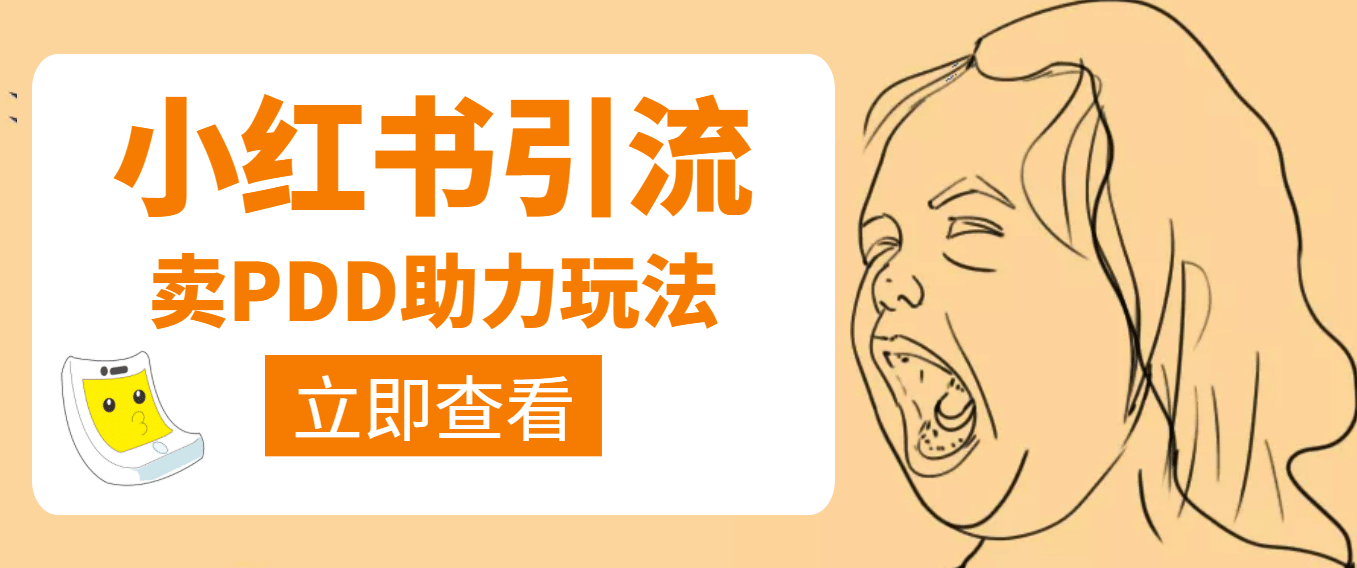 利用小红书卖拼多多助力时点搞钱-网创项目资源站-副业项目-创业项目-搞钱项目时点搞钱