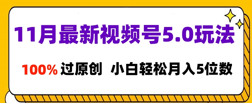 11月最新视频号5.0玩法，100%过原创，小白轻松月入5位数时点搞钱-网创项目资源站-副业项目-创业项目-搞钱项目时点搞钱