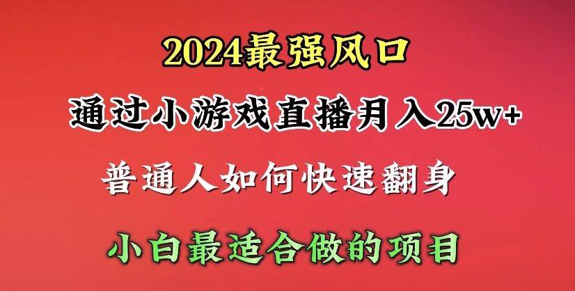2024年最强风口，通过小游戏直播月入25w+单日收益5000+小白最适合做的项目时点搞钱-网创项目资源站-副业项目-创业项目-搞钱项目时点搞钱
