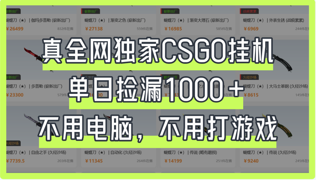 真全网独家CSGO挂机，单日捡漏1000+时点搞钱-网创项目资源站-副业项目-创业项目-搞钱项目时点搞钱