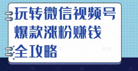 玩转微信视频号爆款涨粉赚钱全攻略，让你快速抓住流量风口，收获红利财富时点搞钱-网创项目资源站-副业项目-创业项目-搞钱项目时点搞钱