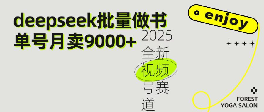 2025最新视频号项目 如何用Deepseek快速批量制作书单号 日入1000＋时点搞钱-网创项目资源站-副业项目-创业项目-搞钱项目时点搞钱