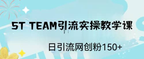 ST TEAM引流实操课，日引流网创粉100+时点搞钱-网创项目资源站-副业项目-创业项目-搞钱项目时点搞钱
