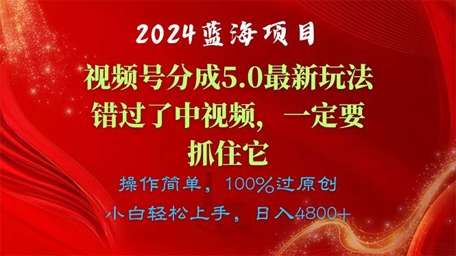 2024蓝海项目，视频号分成计划5.0最新玩法，错过了中视频，一定要抓住…时点搞钱-网创项目资源站-副业项目-创业项目-搞钱项目时点搞钱