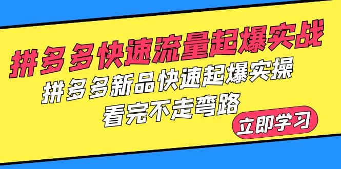 拼多多-快速流量起爆实战，拼多多新品快速起爆实操，看完不走弯路时点搞钱-网创项目资源站-副业项目-创业项目-搞钱项目时点搞钱