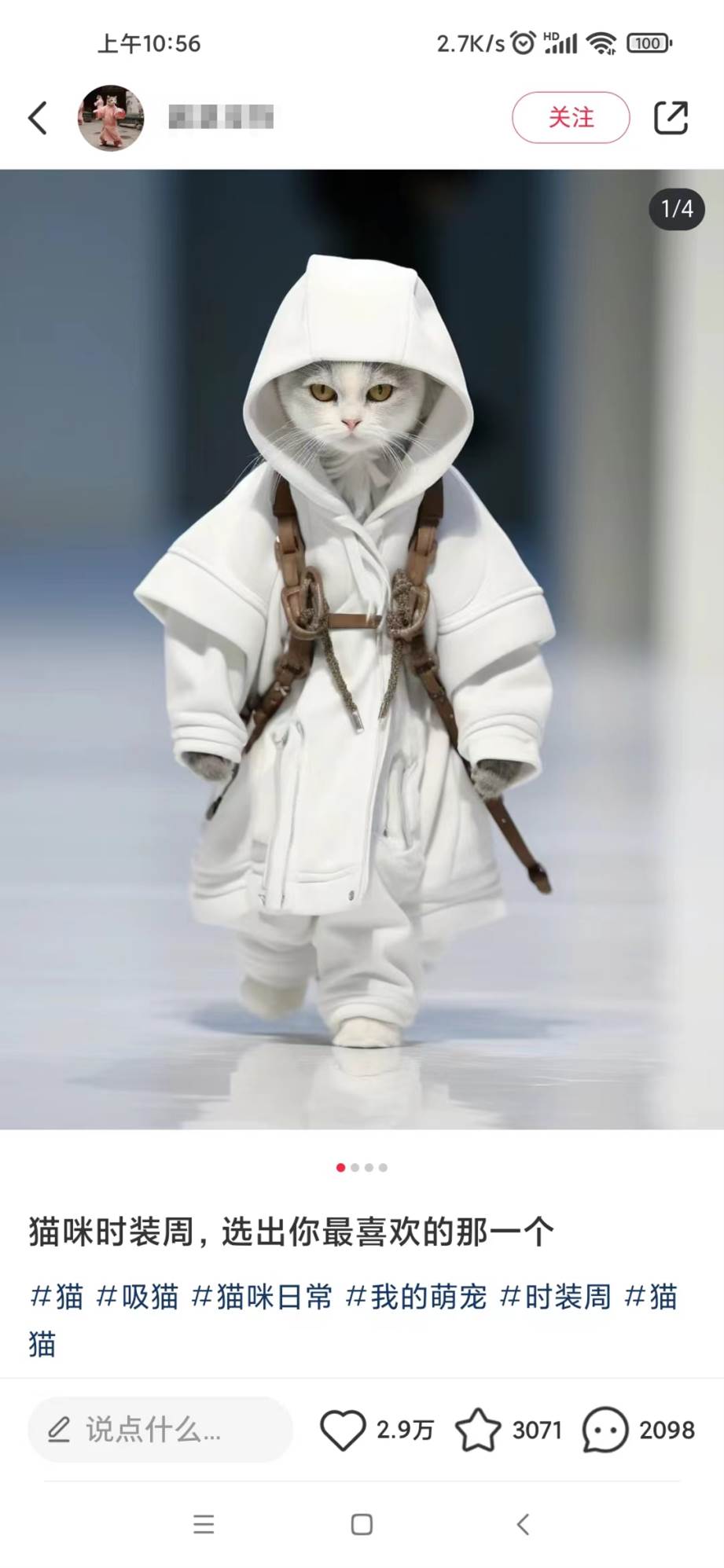 适合小白 宝妈 上班族 大学生互联网兼职 小红书爆款项目Animal秀，月入1W时点搞钱-网创项目资源站-副业项目-创业项目-搞钱项目时点搞钱