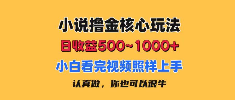 小说撸金核心玩法，日收益500-1000+，小白看完照样上手，0成本有手就行时点搞钱-网创项目资源站-副业项目-创业项目-搞钱项目时点搞钱