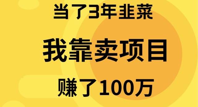 当了3年韭菜，我靠卖项目赚了100万时点搞钱-网创项目资源站-副业项目-创业项目-搞钱项目时点搞钱